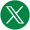 X icon